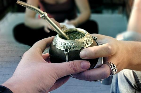 Yerba Mate: una bebida sudamericana que puede ser beneficiosa para