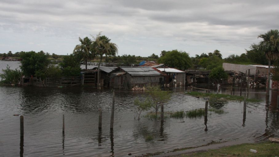 Declararon emergencia agropecuaria en Chaco por lluvias Agritotal