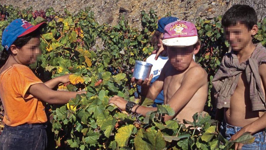 ¿Por qué en las zonas rurales hay mayor explotación laboral infantil?