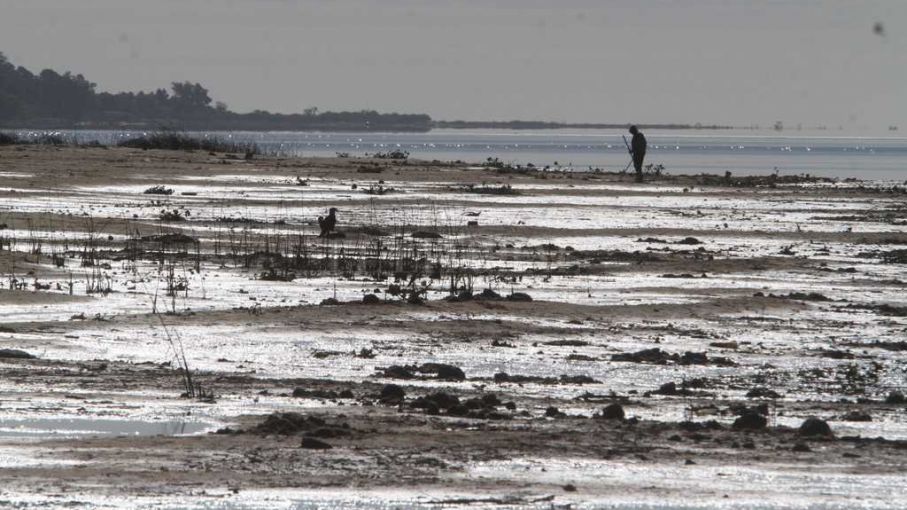 El déficit de lluvias causó una bajante récord en el río Paraná - Agritotal