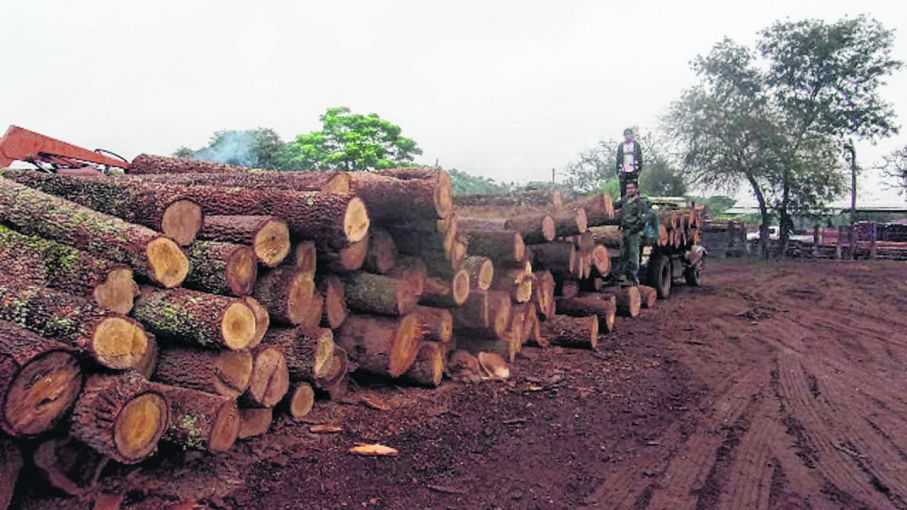 Chaco apuesta a llegar a los 100 millones de d lares de