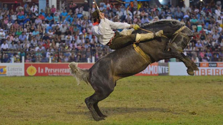 Jinete Murió Aplastado Por Su Caballo En Jesús María Agritotal 7453