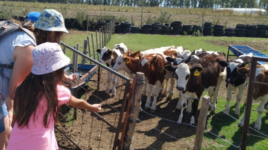 El turismo rural integra la oferta turística con actividad agropecuaria -  Agritotal