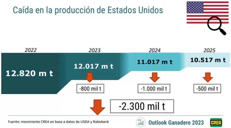 Prevén Que En 2023 La Demanda Mundial De Carne Siga Creciendo Por ...